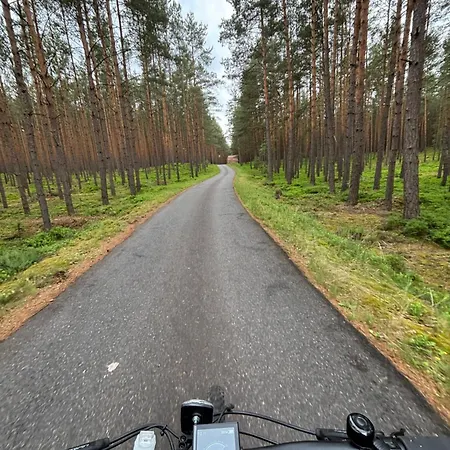 Bily Jelen Ralsko * Kurivody